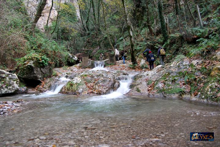 risalendo il torrente.JPG